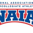 NAIA Bridge Logo
