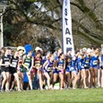 2009 NAIA XC Start